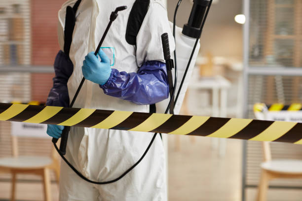 Professional Sewage Cleanup technician working in Centerville, MA